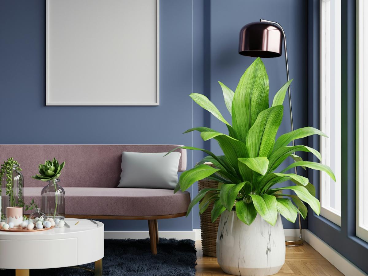 Interior painting